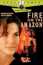 Fire on the Amazon