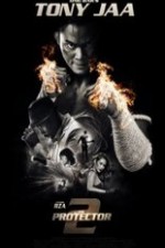 The Protector 2