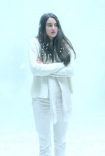 White Bird in a Blizzard